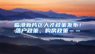 臨港新片區(qū)人才政策發(fā)布！落戶政策、購房政策……