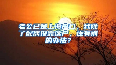 老公已是上海戶(hù)口，我除了配偶投靠落戶(hù)，還有別的辦法？