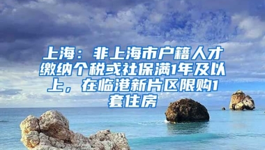 上海：非上海市戶籍人才繳納個稅或社保滿1年及以上，在臨港新片區(qū)限購1套住房