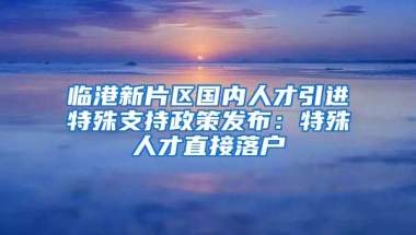 臨港新片區(qū)國內(nèi)人才引進特殊支持政策發(fā)布：特殊人才直接落戶