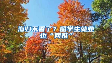 海歸不香了？留學(xué)生就業(yè)也“兩難”