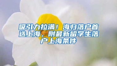 吸引力拉滿！海歸落戶首選上海，附最新留學(xué)生落戶上海條件