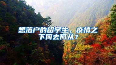 想落戶的留學(xué)生，疫情之下何去何從？