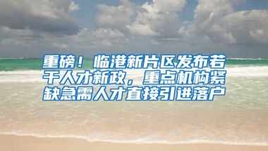 重磅！臨港新片區(qū)發(fā)布若干人才新政，重點(diǎn)機(jī)構(gòu)緊缺急需人才直接引進(jìn)落戶