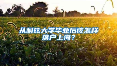 從利茲大學(xué)畢業(yè)后該怎樣落戶上海？