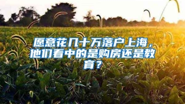 愿意花幾十萬落戶上海，他們看中的是購房還是教育？