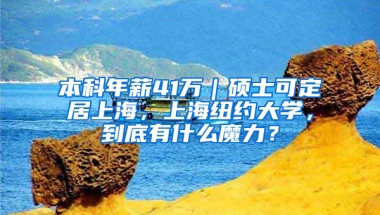 本科年薪41萬｜碩士可定居上海，上海紐約大學，到底有什么魔力？