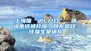 上海推“滬C戶口”，咨詢電話被打爆，網(wǎng)友感嘆：往屆生是鍋灰