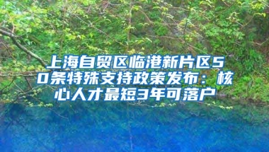 上海自貿(mào)區(qū)臨港新片區(qū)50條特殊支持政策發(fā)布：核心人才最短3年可落戶