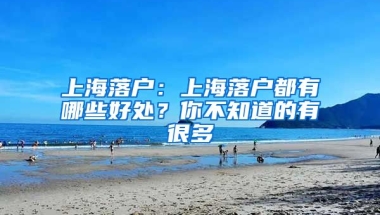 上海落戶：上海落戶都有哪些好處？你不知道的有很多