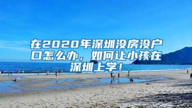 在2020年深圳沒房沒戶口怎么辦，如何讓小孩在深圳上學(xué)！