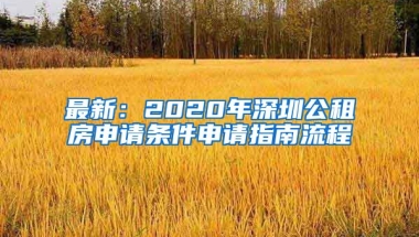 最新：2020年深圳公租房申請(qǐng)條件申請(qǐng)指南流程