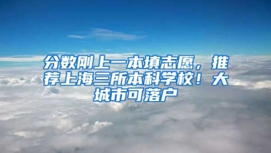 分?jǐn)?shù)剛上一本填志愿，推薦上海三所本科學(xué)校！大城市可落戶