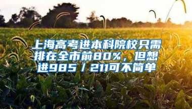 上海高考進(jìn)本科院校只需排在全市前80%，但想進(jìn)985／211可不簡單