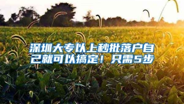 深圳大專以上秒批落戶自己就可以搞定！只需5步