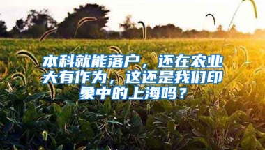 本科就能落戶，還在農(nóng)業(yè)大有作為，這還是我們印象中的上海嗎？