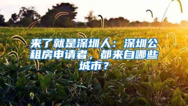 來了就是深圳人：深圳公租房申請者，都來自哪些城市？