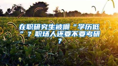 在職研究生被嘲“學(xué)歷低”？職場人還要不要考研？