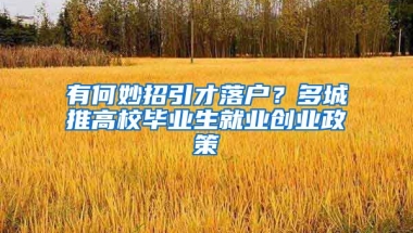 有何妙招引才落戶？多城推高校畢業(yè)生就業(yè)創(chuàng)業(yè)政策