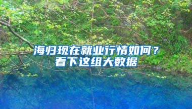 海歸現(xiàn)在就業(yè)行情如何？看下這組大數(shù)據(jù)