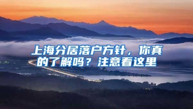 上海分居落戶方針，你真的了解嗎？注意看這里