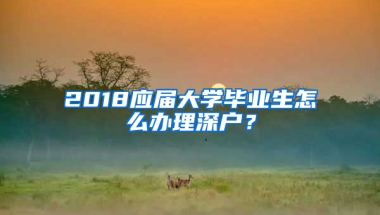 2018應(yīng)屆大學(xué)畢業(yè)生怎么辦理深戶(hù)？