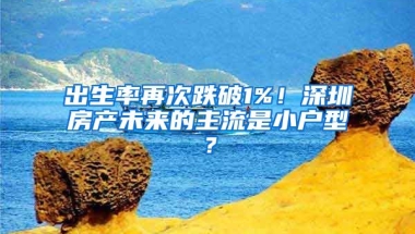 出生率再次跌破1%！深圳房產(chǎn)未來的主流是小戶型？