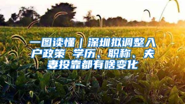 一圖讀懂｜深圳擬調(diào)整入戶政策 學(xué)歷、職稱、夫妻投靠都有啥變化