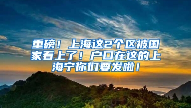 重磅！上海這2個區(qū)被國家看上了！戶口在這的上海寧你們要發(fā)啦！