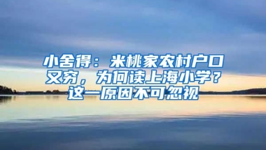 小舍得：米桃家農(nóng)村戶口又窮，為何讀上海小學(xué)？這一原因不可忽視