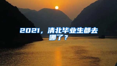 2021，清北畢業(yè)生都去哪了？