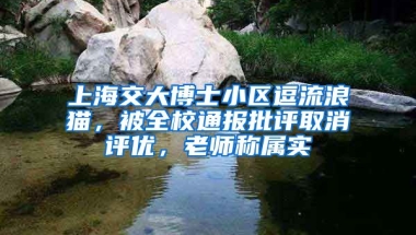 上海交大博士小區(qū)逗流浪貓，被全校通報批評取消評優(yōu)，老師稱屬實