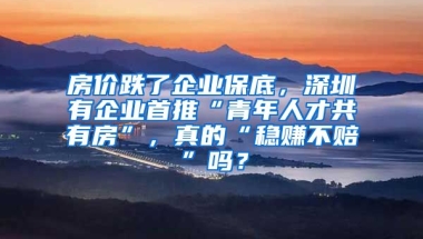 房價跌了企業(yè)保底，深圳有企業(yè)首推“青年人才共有房”，真的“穩(wěn)賺不賠”嗎？