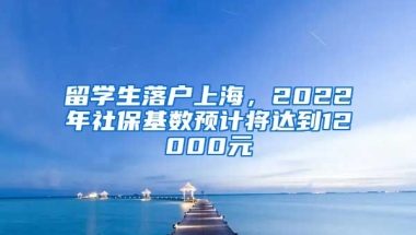 留學(xué)生落戶上海，2022年社?；鶖?shù)預(yù)計(jì)將達(dá)到12000元