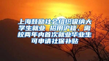 上海鼓勵社會組織吸納大學(xué)生就業(yè) 招用滬籍、離校兩年內(nèi)首次就業(yè)畢業(yè)生可申請社保補貼