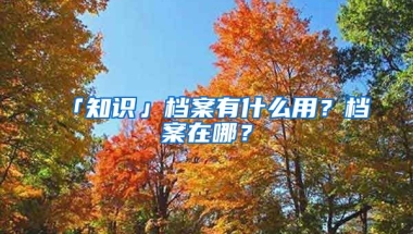 「知識」檔案有什么用？檔案在哪？