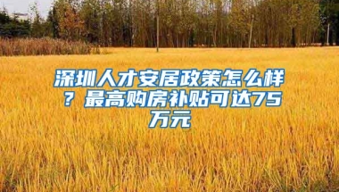 深圳人才安居政策怎么樣？最高購房補貼可達75萬元