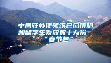 中國駐外使領館已向僑胞和留學生發(fā)放數(shù)十萬份“春節(jié)包”