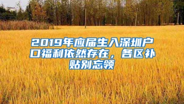 2019年應(yīng)屆生入深圳戶口福利依然存在，各區(qū)補(bǔ)貼別忘領(lǐng)