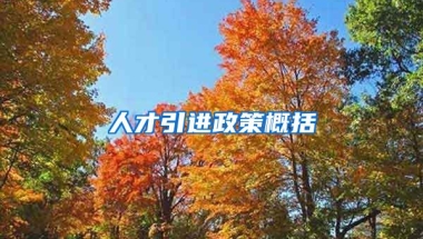 人才引進(jìn)政策概括