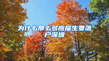 為什么那么多應(yīng)屆生要落戶(hù)深圳