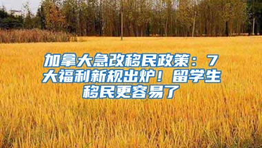 加拿大急改移民政策：7大福利新規(guī)出爐！留學生移民更容易了