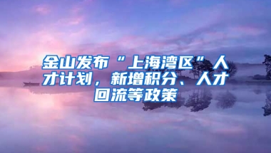 金山發(fā)布“上海灣區(qū)”人才計劃，新增積分、人才回流等政策