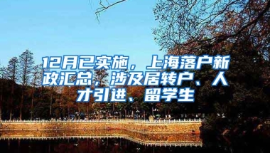 12月已實施，上海落戶新政匯總，涉及居轉(zhuǎn)戶、人才引進、留學(xué)生