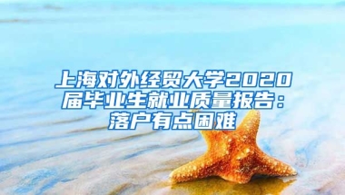 上海對外經(jīng)貿(mào)大學(xué)2020屆畢業(yè)生就業(yè)質(zhì)量報(bào)告：落戶有點(diǎn)困難