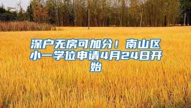 深戶無房可加分！南山區(qū)小一學(xué)位申請4月24日開始