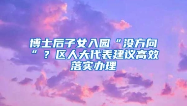 博士后子女入園“沒方向”？區(qū)人大代表建議高效落實辦理