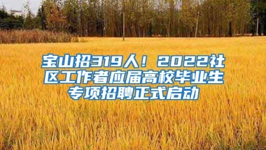 寶山招319人！2022社區(qū)工作者應(yīng)屆高校畢業(yè)生專項招聘正式啟動