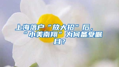 上海落戶“放大招”后，“小美南翔”為何備受矚目？