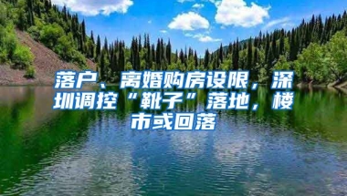 落戶、離婚購房設(shè)限，深圳調(diào)控“靴子”落地，樓市或回落